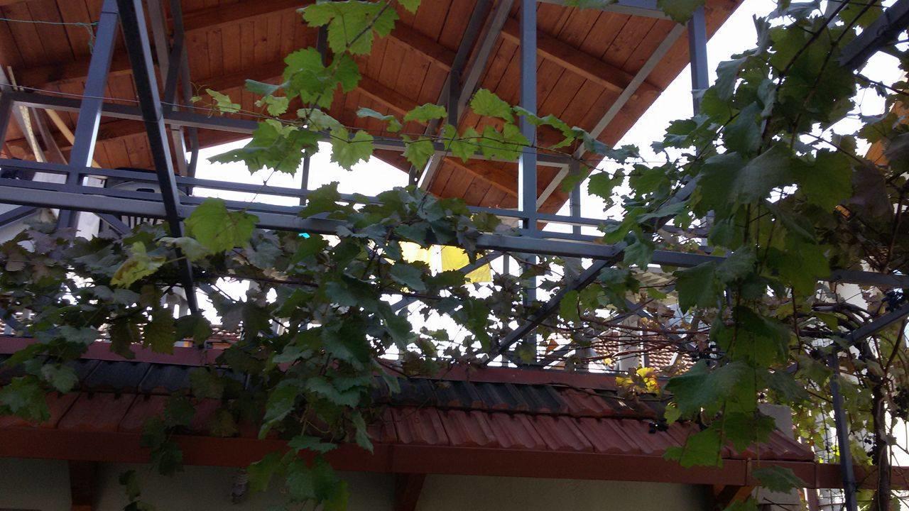 Guesthouse 26 Mtskheta Ngoại thất bức ảnh