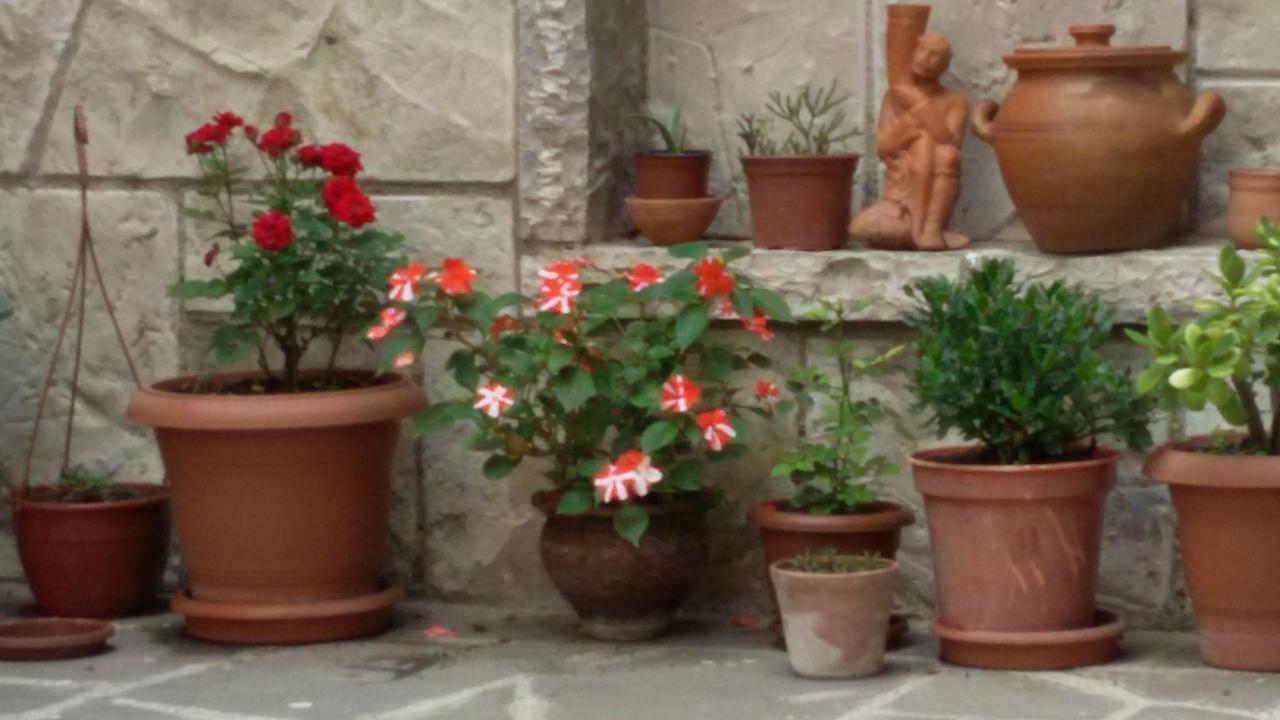 Guesthouse 26 Mtskheta Ngoại thất bức ảnh